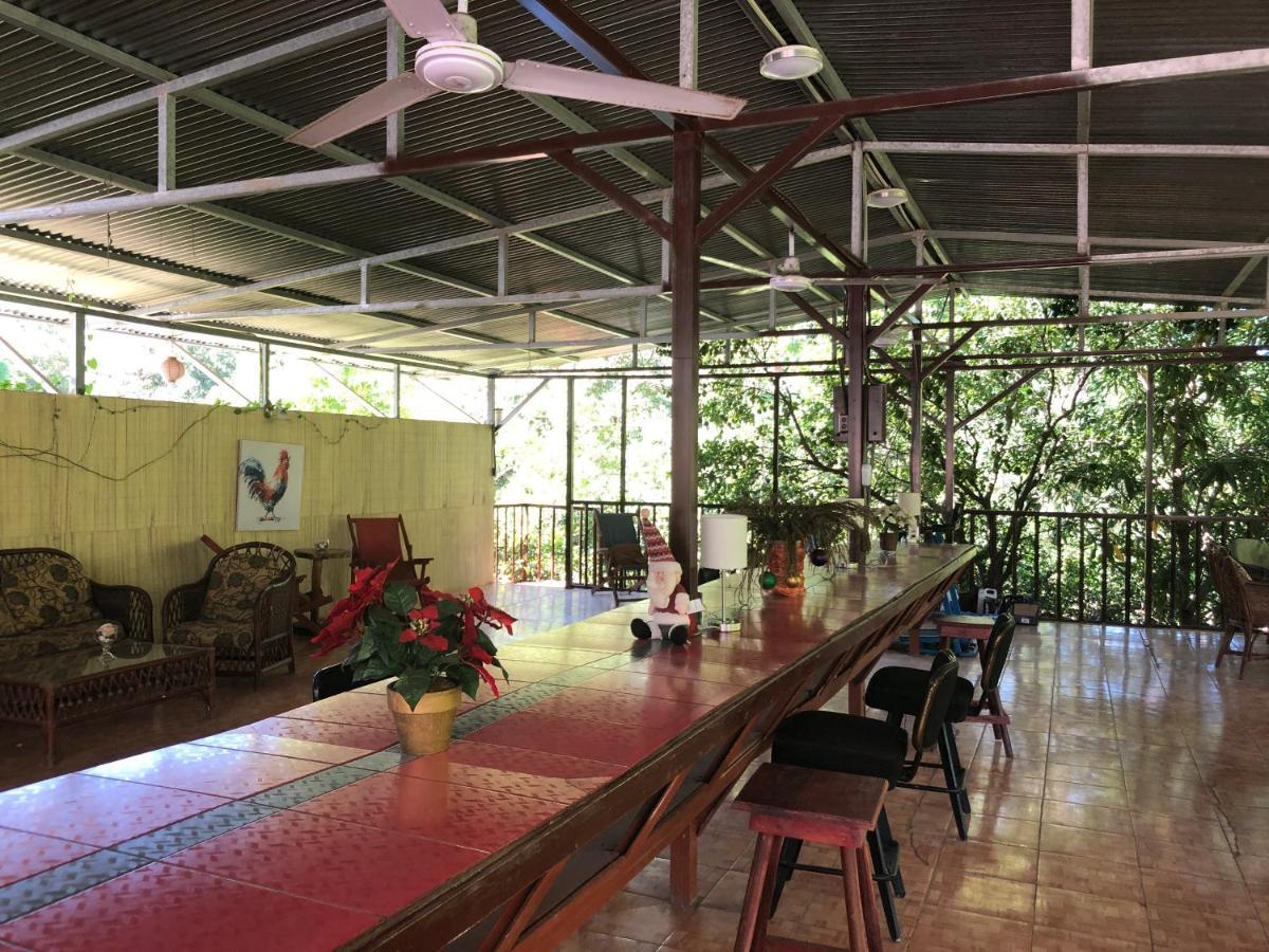 Toucan House Coco Bagian luar foto
